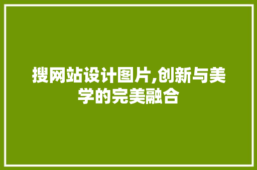 搜网站设计图片,创新与美学的完美融合