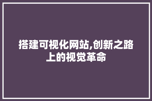 搭建可视化网站,创新之路上的视觉革命