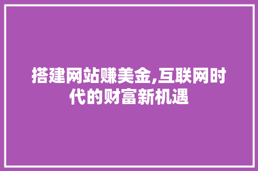 搭建网站赚美金,互联网时代的财富新机遇