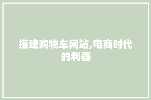 搭建购物车网站,电商时代的利器
