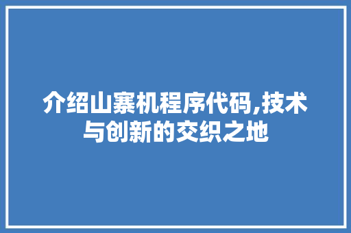 介绍山寨机程序代码,技术与创新的交织之地
