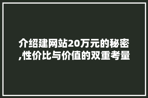 介绍建网站20万元的秘密,性价比与价值的双重考量