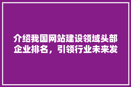 介绍我国网站建设领域头部企业排名，引领行业未来发展