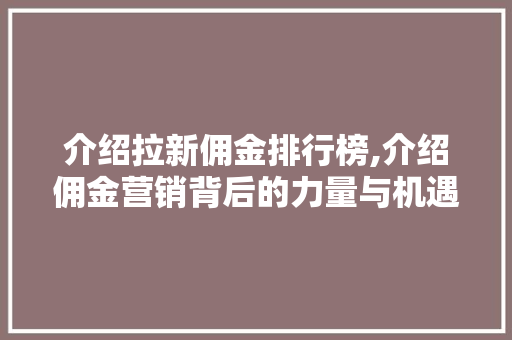 介绍拉新佣金排行榜,介绍佣金营销背后的力量与机遇