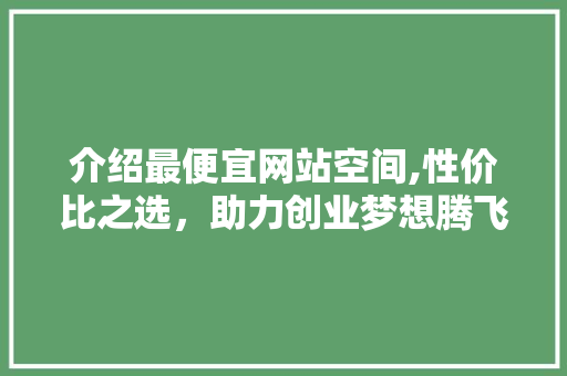 介绍最便宜网站空间,性价比之选，助力创业梦想腾飞