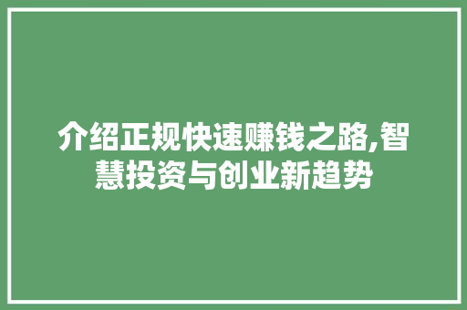 介绍正规快速赚钱之路,智慧投资与创业新趋势