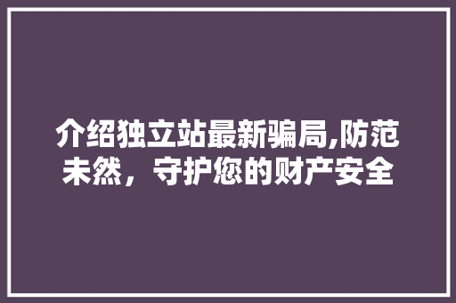 介绍独立站最新骗局,防范未然，守护您的财产安全