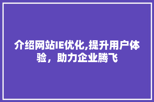 介绍网站IE优化,提升用户体验，助力企业腾飞