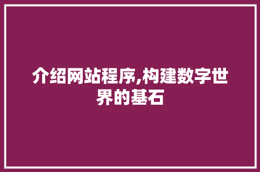 介绍网站程序,构建数字世界的基石