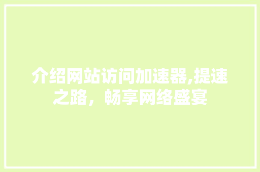 介绍网站访问加速器,提速之路，畅享网络盛宴