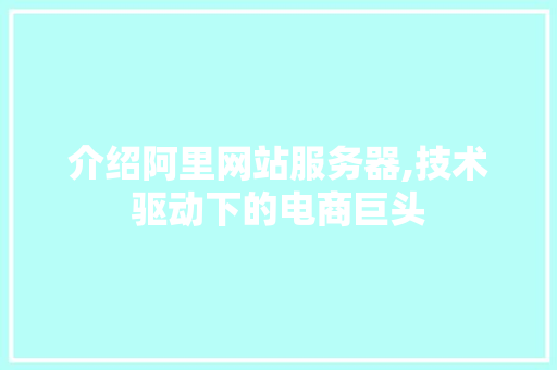 介绍阿里网站服务器,技术驱动下的电商巨头