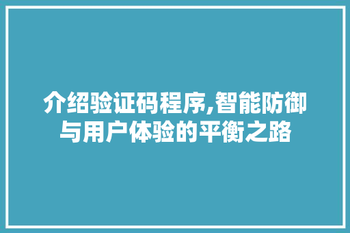 介绍验证码程序,智能防御与用户体验的平衡之路