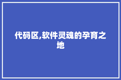 代码区,软件灵魂的孕育之地