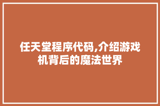 任天堂程序代码,介绍游戏机背后的魔法世界