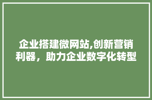 企业搭建微网站,创新营销利器，助力企业数字化转型