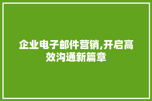 企业电子邮件营销,开启高效沟通新篇章
