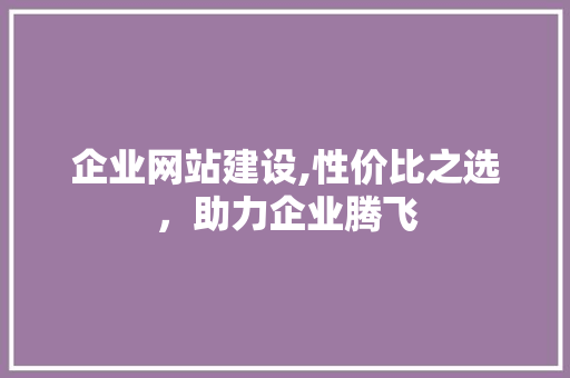 企业网站建设,性价比之选，助力企业腾飞