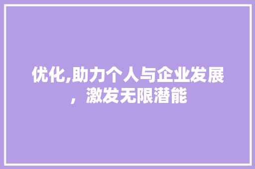 优化,助力个人与企业发展，激发无限潜能