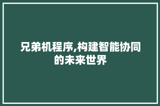 兄弟机程序,构建智能协同的未来世界