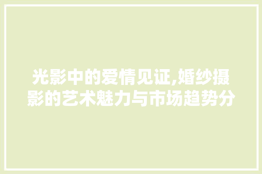 光影中的爱情见证,婚纱摄影的艺术魅力与市场趋势分析