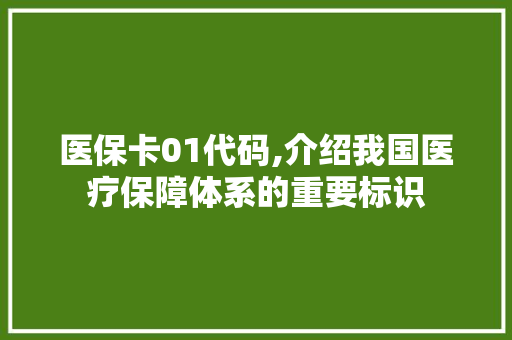 医保卡01代码,介绍我国医疗保障体系的重要标识