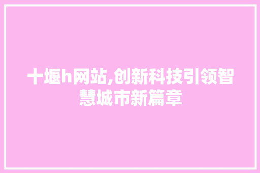 十堰h网站,创新科技引领智慧城市新篇章