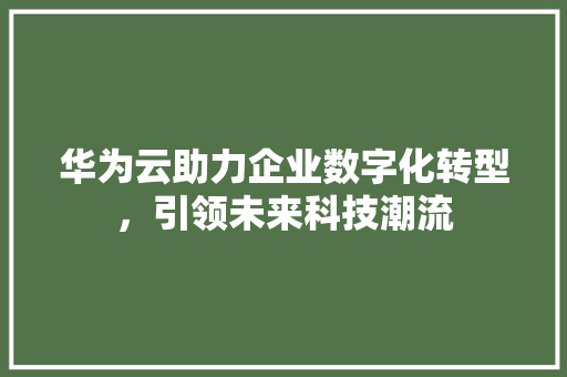 华为云助力企业数字化转型，引领未来科技潮流