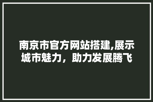 南京市官方网站搭建,展示城市魅力，助力发展腾飞