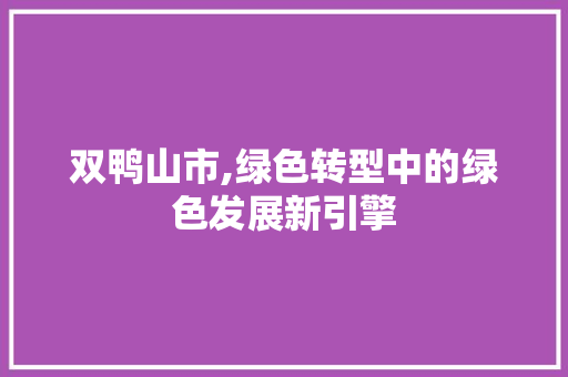 双鸭山市,绿色转型中的绿色发展新引擎