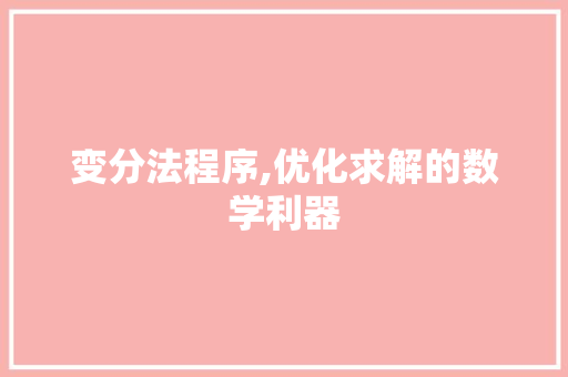 变分法程序,优化求解的数学利器