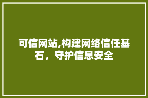 可信网站,构建网络信任基石，守护信息安全