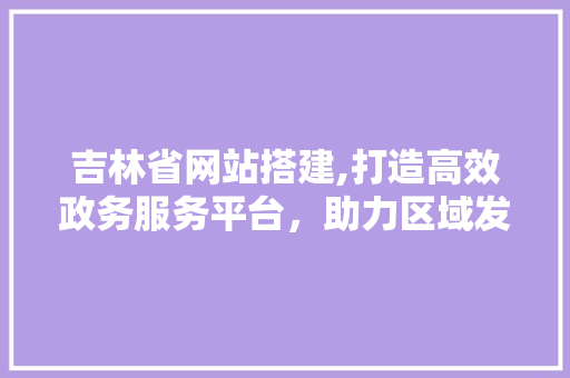 吉林省网站搭建,打造高效政务服务平台，助力区域发展