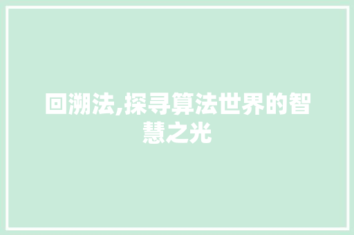 回溯法,探寻算法世界的智慧之光