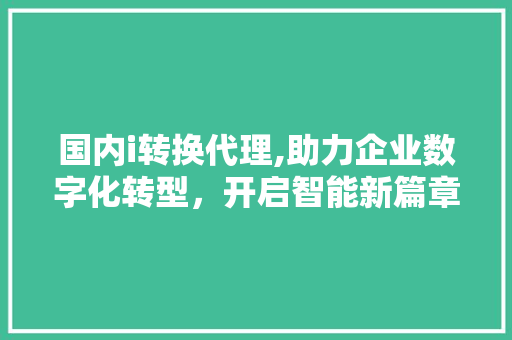 国内i转换代理,助力企业数字化转型，开启智能新篇章