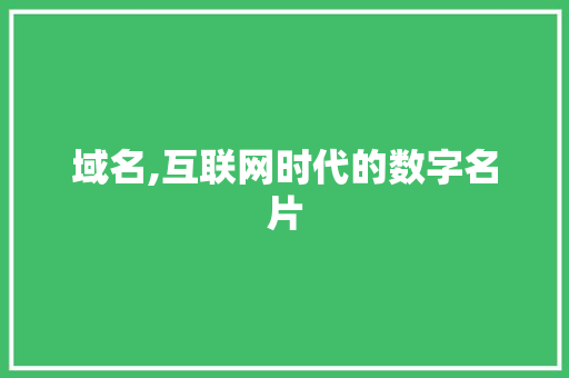 域名,互联网时代的数字名片