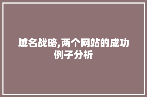 域名战略,两个网站的成功例子分析
