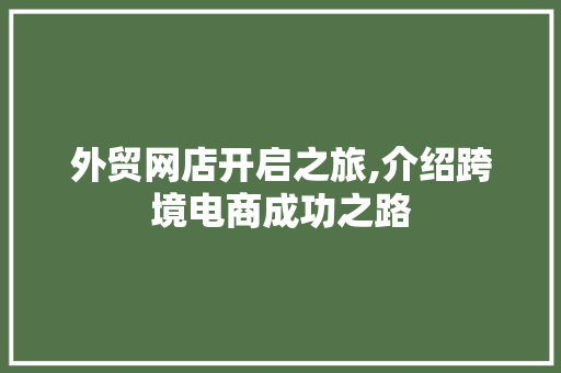 外贸网店开启之旅,介绍跨境电商成功之路