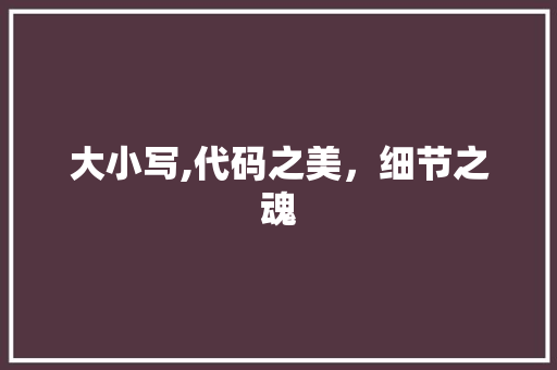 大小写,代码之美，细节之魂