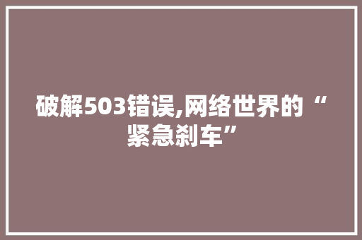破解503错误,网络世界的“紧急刹车”