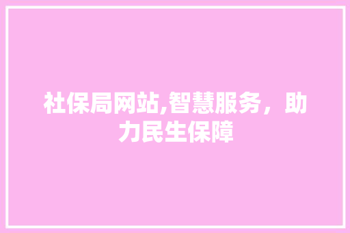社保局网站,智慧服务，助力民生保障