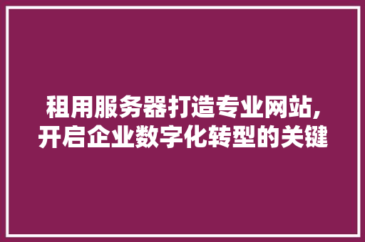 租用服务器打造专业网站,开启企业数字化转型的关键一步