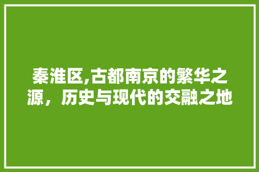 秦淮区,古都南京的繁华之源，历史与现代的交融之地