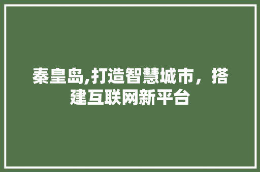 秦皇岛,打造智慧城市，搭建互联网新平台