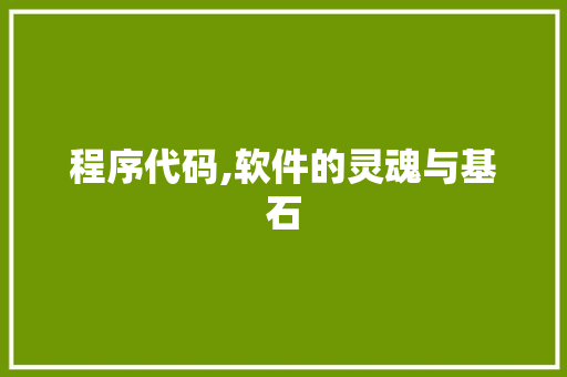 程序代码,软件的灵魂与基石