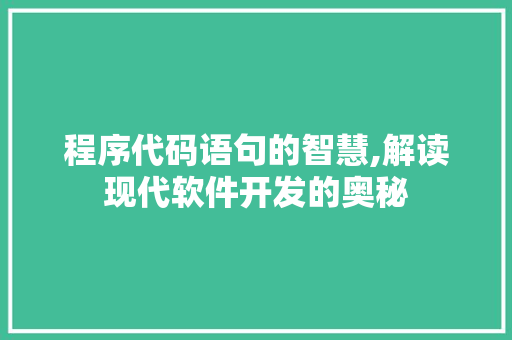 程序代码语句的智慧,解读现代软件开发的奥秘