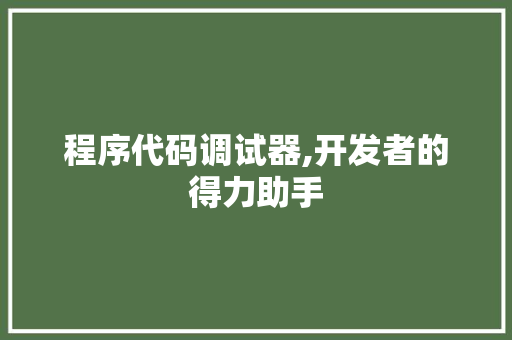 程序代码调试器,开发者的得力助手
