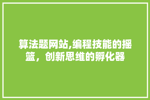 算法题网站,编程技能的摇篮，创新思维的孵化器