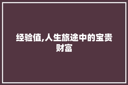 经验值,人生旅途中的宝贵财富