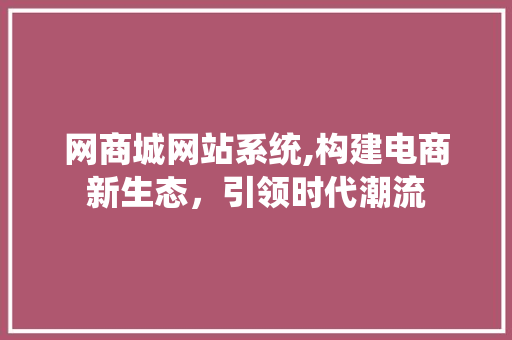 网商城网站系统,构建电商新生态，引领时代潮流
