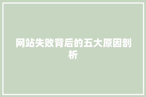 网站失败背后的五大原因剖析